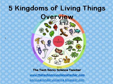 5 Kingdoms Overview Classification Guided Notes Teaching Resources