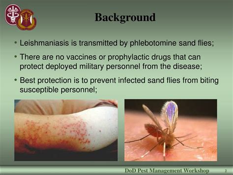 PPT Assessment Of Sand Flies As A Means Of Evaluating The Threat Of Leishmaniasis To Military