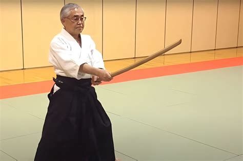 The Art Of The Aikido Sword Balance Harmony And Defense