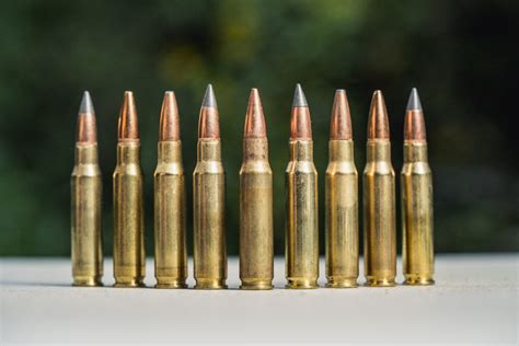 The Best Bullets For Deer Hunting The Lodge At