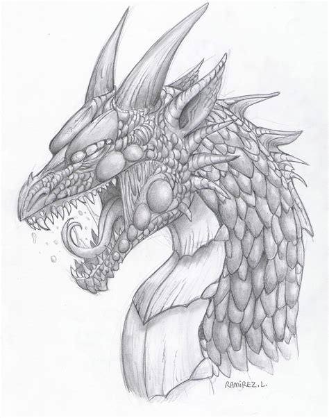 Dragon Scales Drawing At Getdrawings Free Download