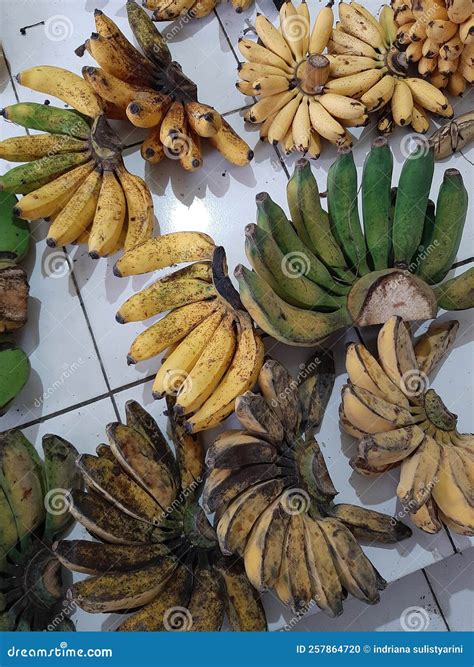 Various Types Of Bananas Are Sold In The Market Stock Photo Image Of