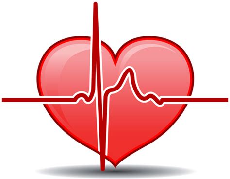 Cardiovascular Health Worksheet Jannas Blog