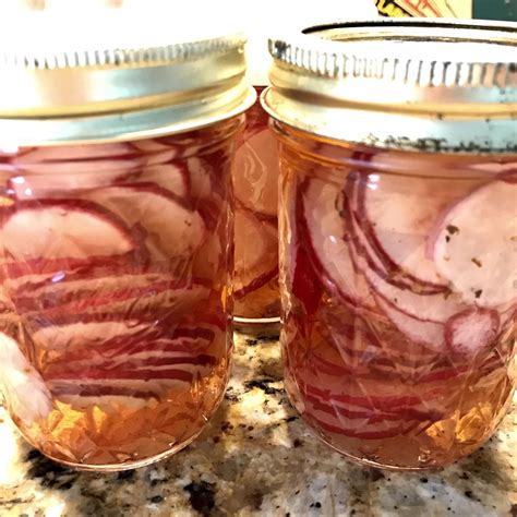 The water should cover the jars; Pickled radishes for canning.