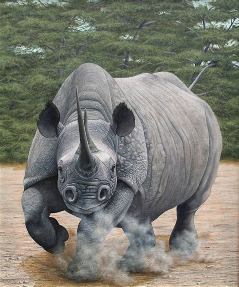 Charging Rhino Oil On Canvas By Painterman33 On Deviantart