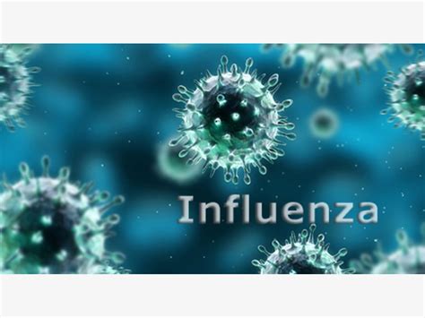 Flu Season Is Peaking So Build Up Your Immunity Ramsey Nj Patch