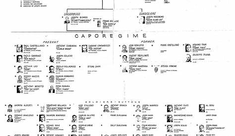 1963 Gambino Crime Family Chart | Carlo gambino, Crime family, Mafia