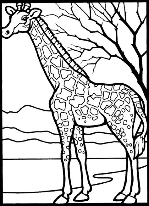 This giraffe simple coloring page is for your kids and toddlers who are just starting to learn how to color. Kids-n-fun.com | 45 coloring pages of Giraffe
