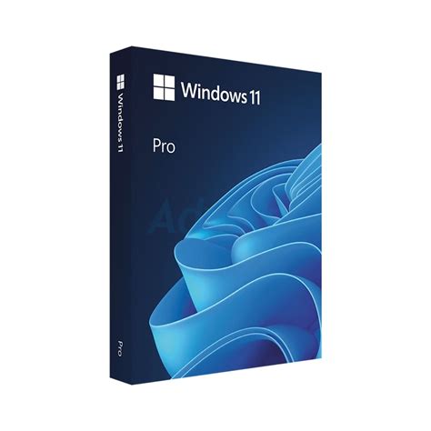 Windows 11 Pro 64 Bit Fpp Hav 00163