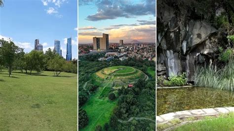 خمس حدائق في مكسيكو سيتي حيث يمكنك الاستمتاع بنزهة Infobae