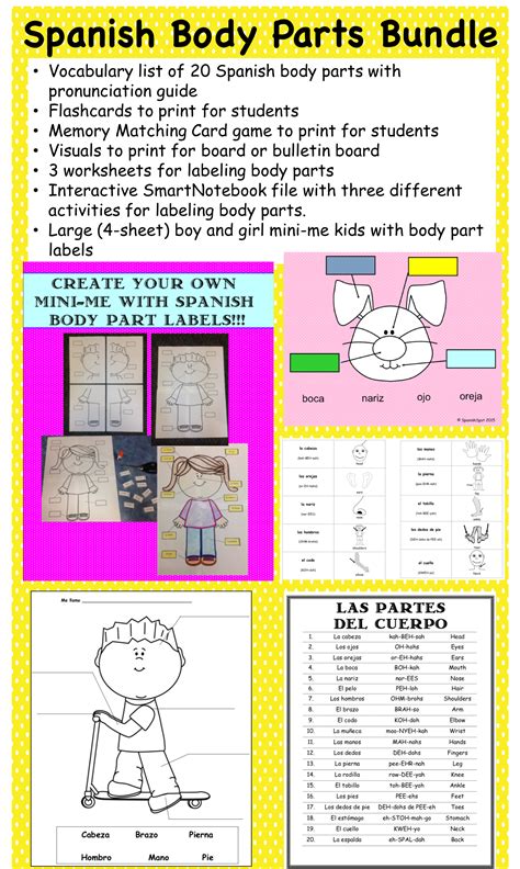 Spanish Body Parts Printable Worksheet Printable 17 Best Images About