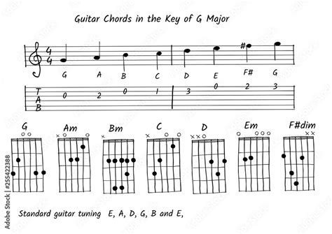 Grafika Wektorowa Stock Guitar Chord In The Key Of G Major Note And