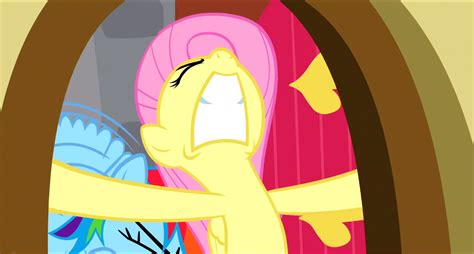 1379898 Safe Screencap Fluttershy Rainbow Dash Pegasus Pony