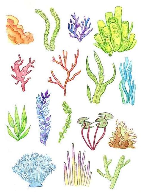 Coral attaches to a strong foundation and then grows to create a coral reef. Coral Watercolor Painting at PaintingValley.com | Explore ...