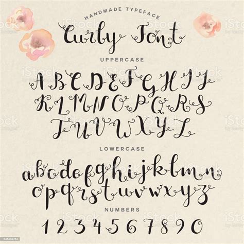 Hand Drawn Modern Calligraphy Font Stock Vector Art And More Images Of