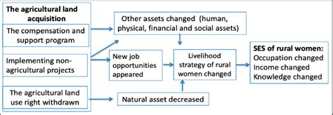 Conceptual Framework Ses Socioeconomic Status Download Scientific