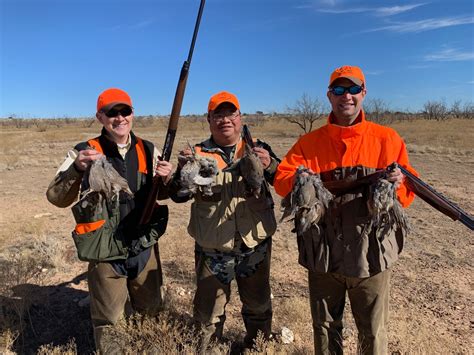 100 Wild Quail Hunting Central Texas First Shot Outfitters