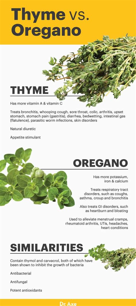 Thyme Nutrition Health Benefits Uses And Recipes Dr Axe