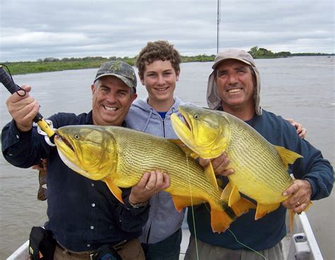 Packages Riverland Outfitters Argentina Hunting Fishing And Experiences