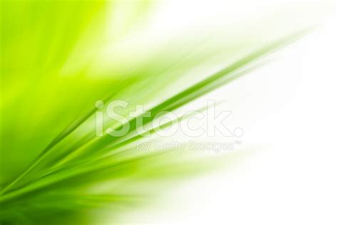 Abstract Green Nature Backgrounds Stock Photo Royalty Free Freeimages