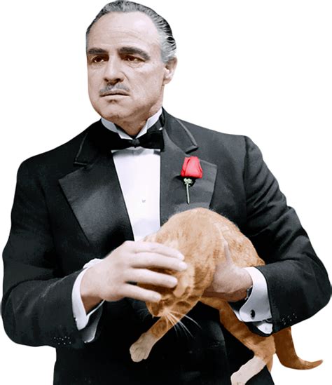 The Godfather Png - Handsome Catfish png image
