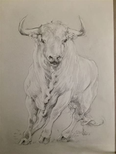 Dibujo Toro Jabonero Por Tito Abellán Bull Art Drawing Cow Drawing