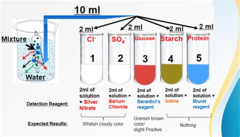 Unit 7 Osmosis And Diffusion Lab Biology Study Set Flashcards Quizlet