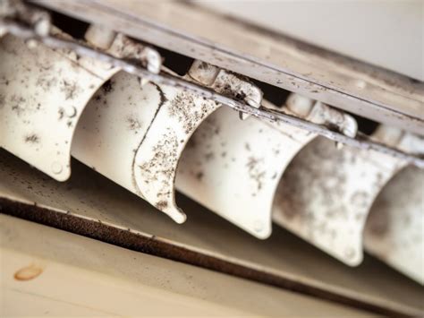 Mold In Air Conditioners How To Clean And Prevent Growth Molekule Blog