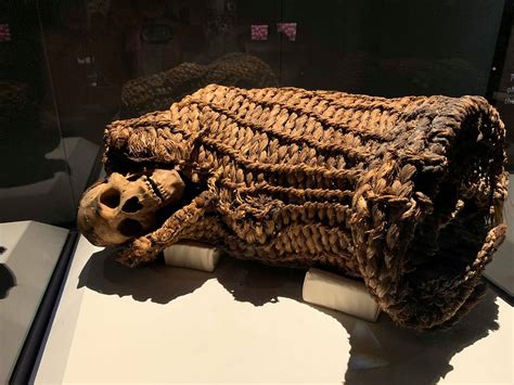Explore The Mummies Of The World Positively Pittsburgh