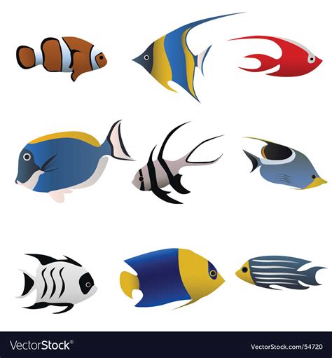 Tropical Fish Royalty Free Vector Image Vectorstock