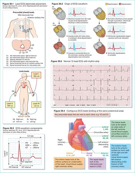 12 Lead Ecg Circuit Diagram