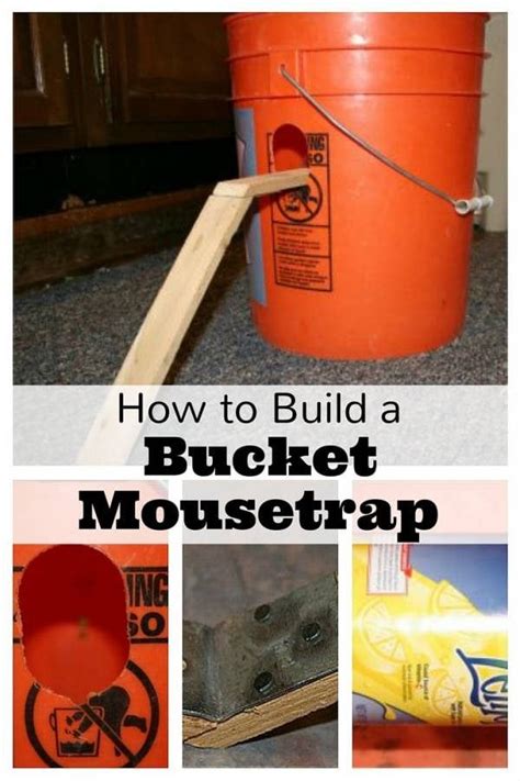 You can easily create a bucket mouse trap, which is one of the easiest and most effective mouse traps. How to Build a Bucket Mousetrap - The Budget Diet