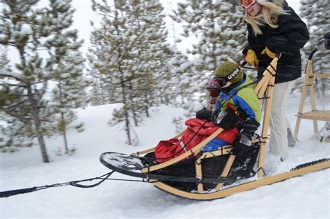 Everything To Know About Dog Sledding With Kids Bring The Kids