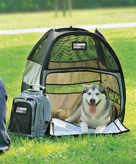 However to book your pets to travel with you in being a frequent traveler, i know alaska airlines allows service and emotional support animals on board. Loving this Pet Ego Dog Bag Pet Tent on #zulily! # ...