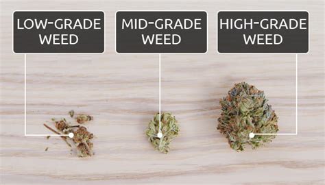 Different Grades Of Weed How High Can You Go Herbies