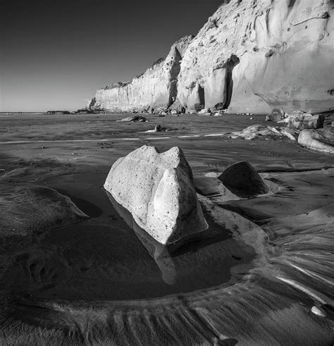 Torrey Pines In Black And White Photograph By William Dunigan Pixels