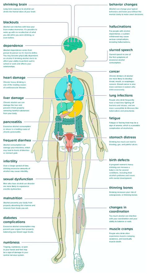 Effects Of Alcohol Abuse And What It Does To Your Body