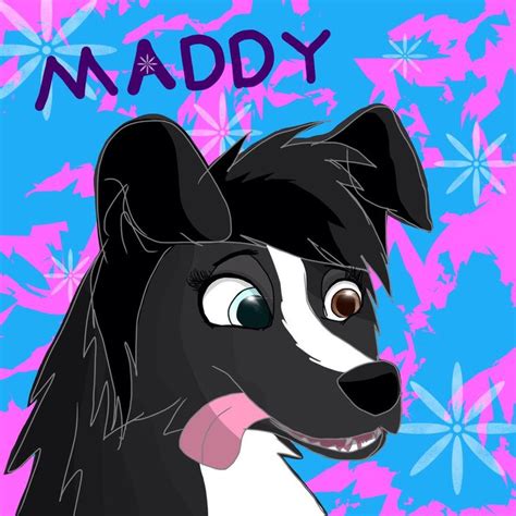 Maddy The Border Collie Secondary Fursona Anime Animals Collie Anime