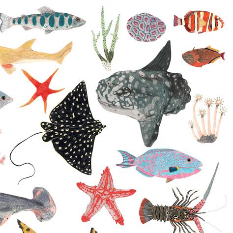 Sea Life Print By James Barker