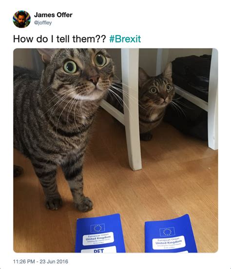 20 Funniest Brexit Tweets