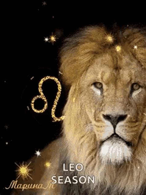 Leo Leo Season  Leo Leo Season Zodiac Sign Discover And Share S
