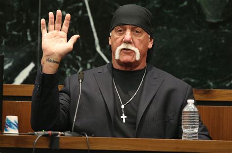 Hulk Hogan Awarded 115 Million In Gawker Sex Tape Trial Hulk Hogan Just Jared Celebrity
