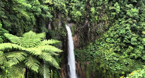 Catarata Del Toro A Stunning Waterfall To Chase In Costa Rica Tiny