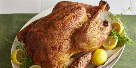 lauren s apple cider roast turkey allrecipes