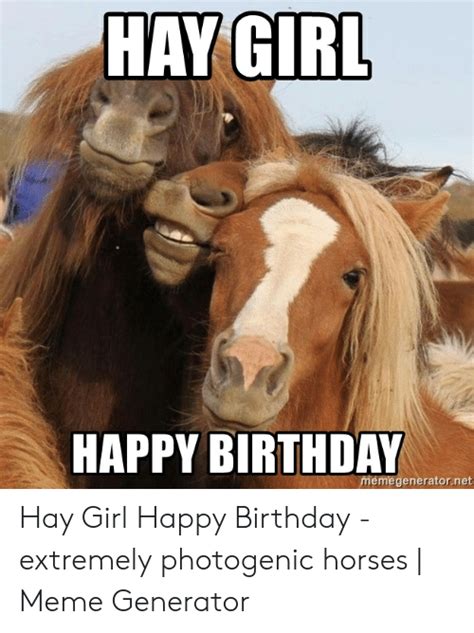 Horse Happy Birthday Meme Happy Birthday Meme