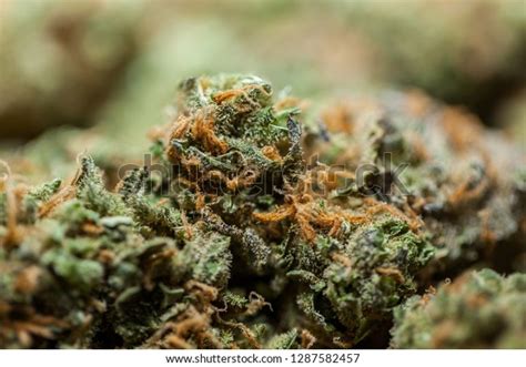 Cannabis Flower Nugs Stock Photo 1287582457 Shutterstock