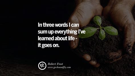 Quotes Life Goes On Life Goes On Quotes And Sayings Quotesgram Not