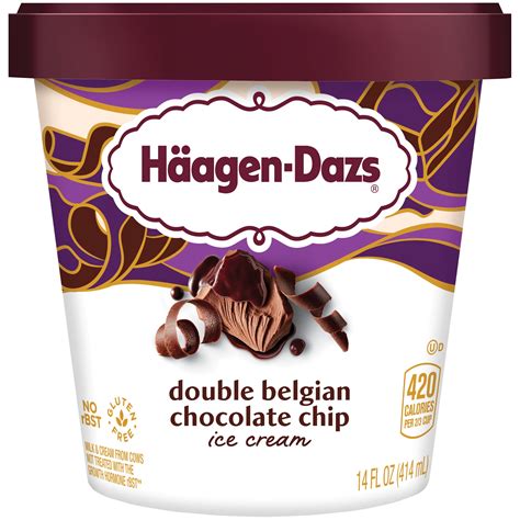 Haagen Dazs Double Belgian Chocolate Chip Ice Cream 14 Fl Oz Cup