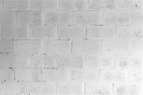 100 White Solid Backgrounds