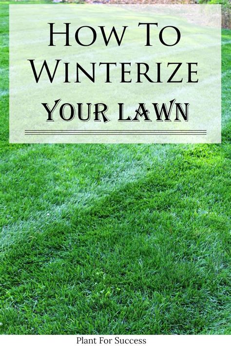 How To Winterize Your Lawn Lawn Care Diy Winter Lawn Care Best